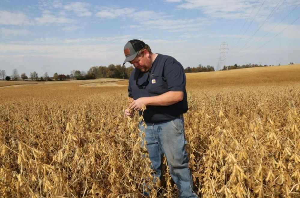 Mỹ lập cổng thông tin trực tuyến mới quản lý đất nông nghiệp do nước ngoài sở hữu